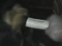 Zoophilia porno of horse dick fucking a whore